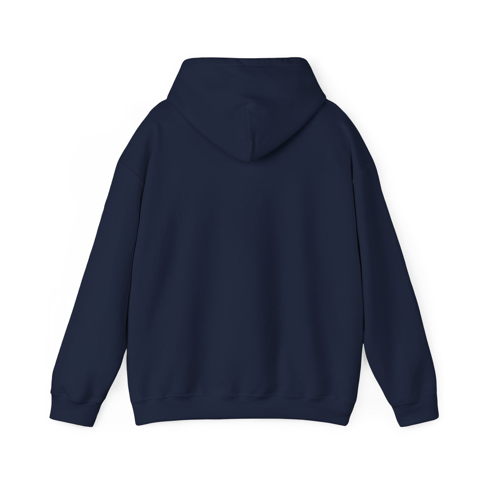 Father of the Year Hoodie - SatireMerch