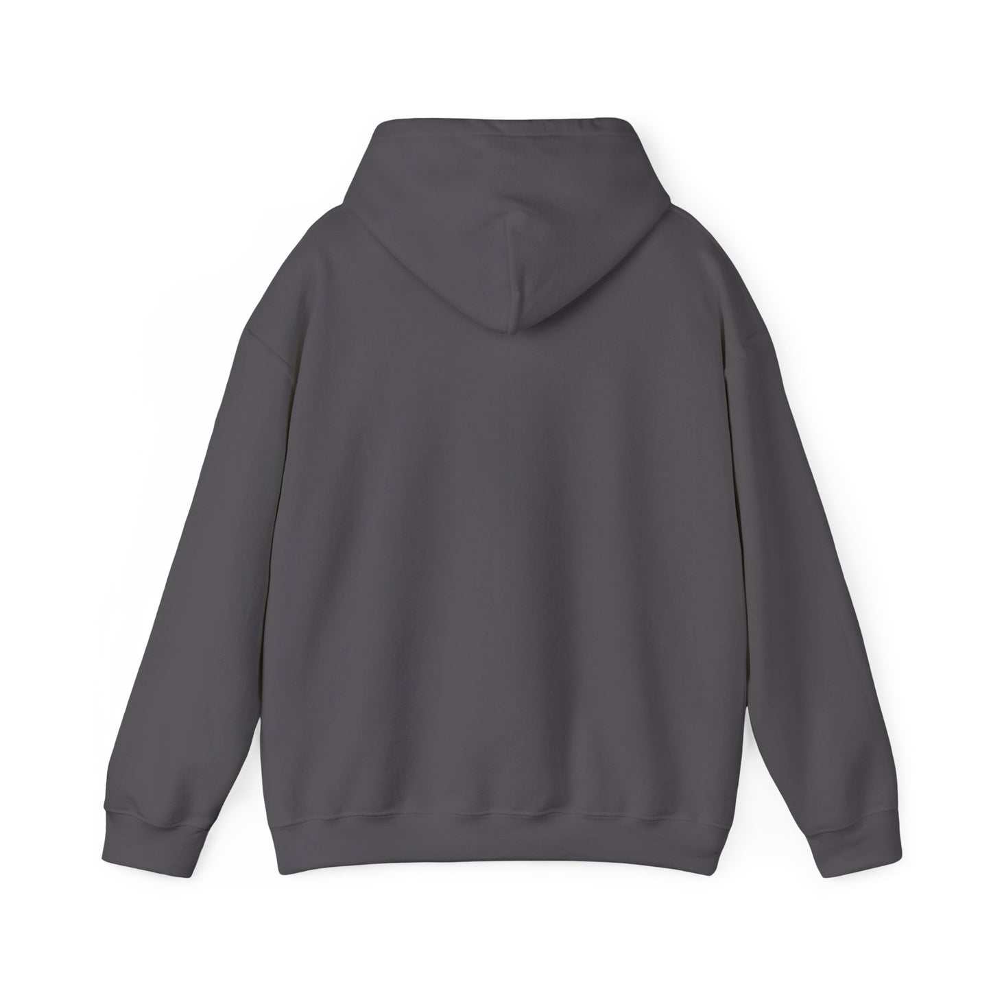 Father of the Year Hoodie - SatireMerch