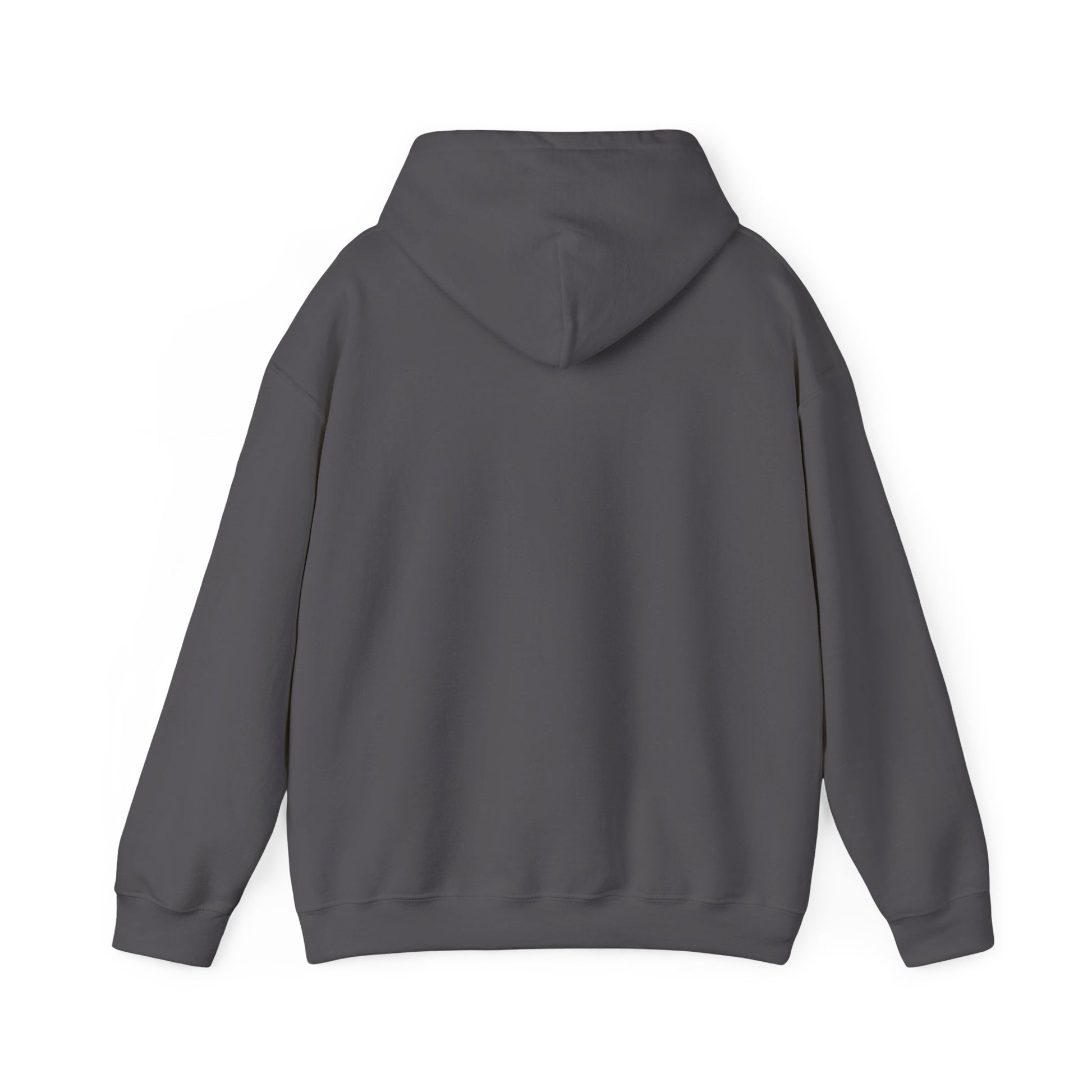 Father of the Year Hoodie - SatireMerch