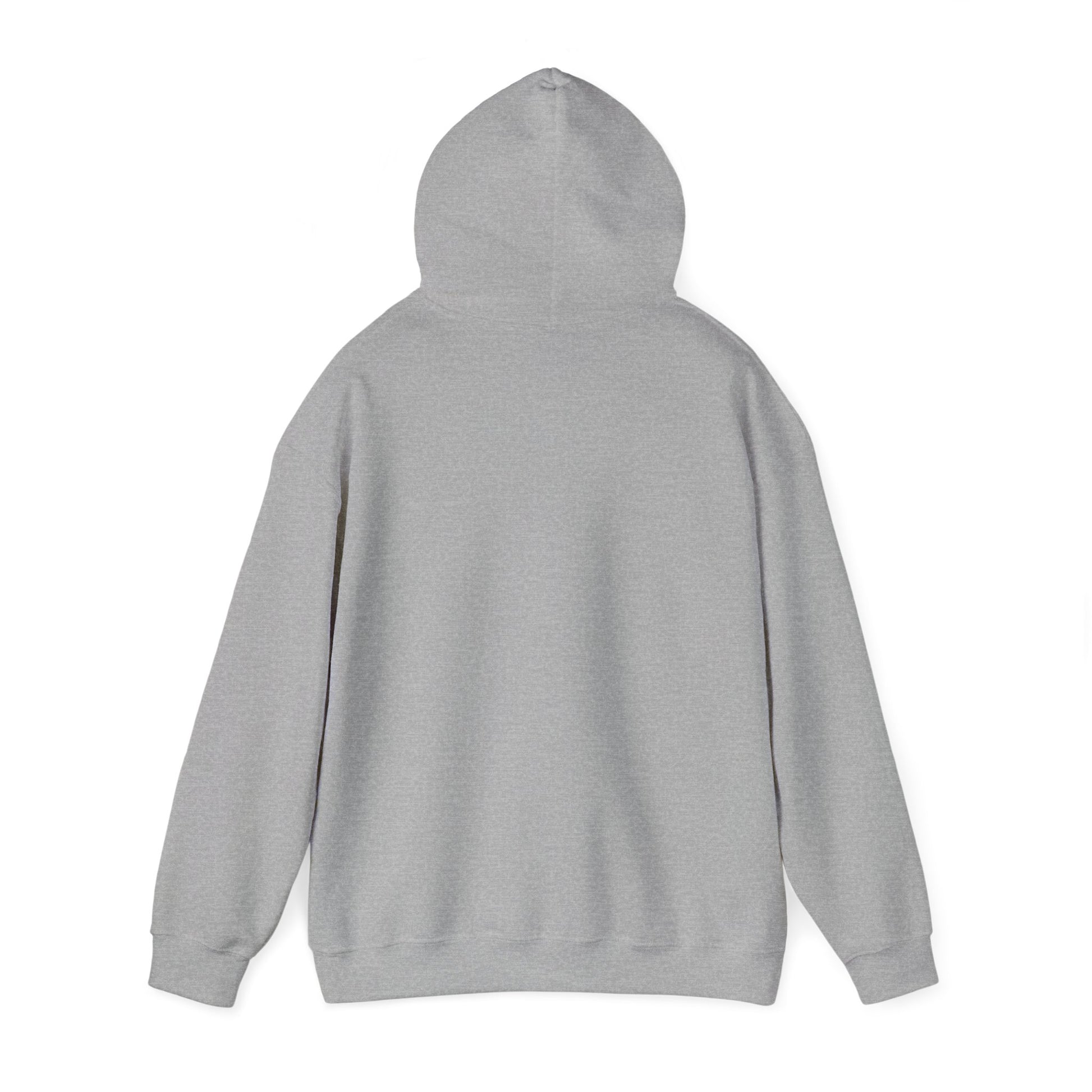 Father of the Year Hoodie - SatireMerch
