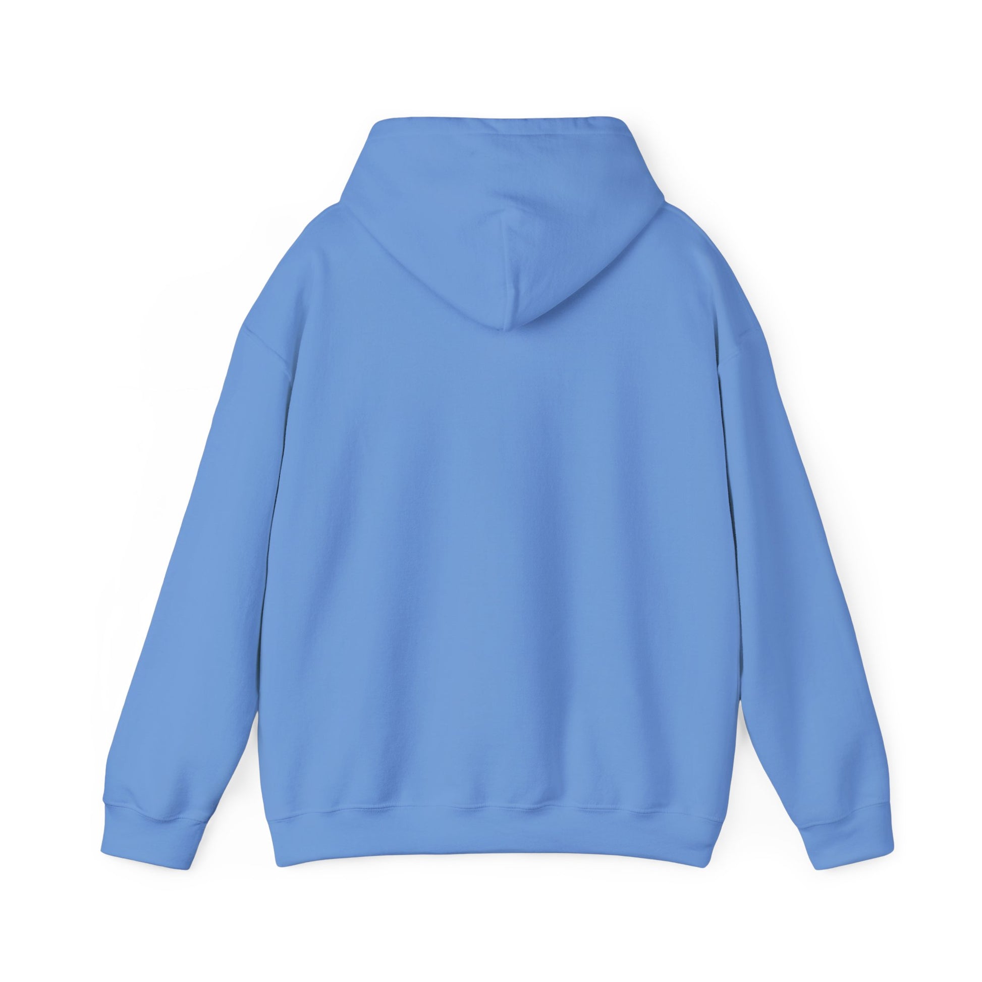 Relapse Hoodie - SatireMerch