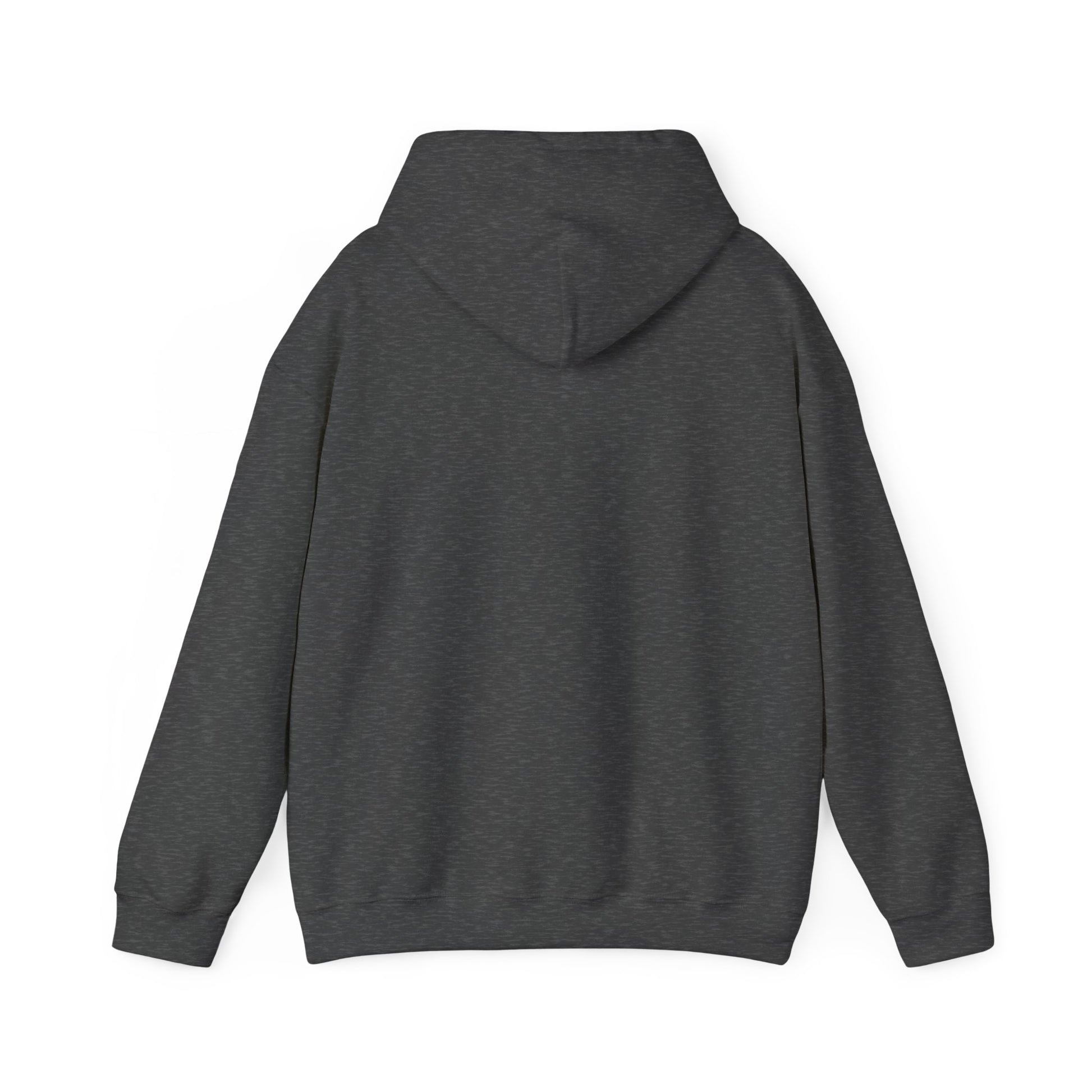 Father of the Year Hoodie - SatireMerch