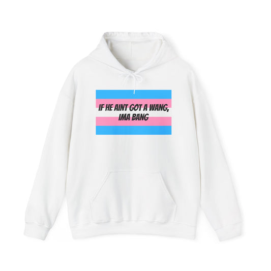 Trans Pride Hoodie - SatireMerch