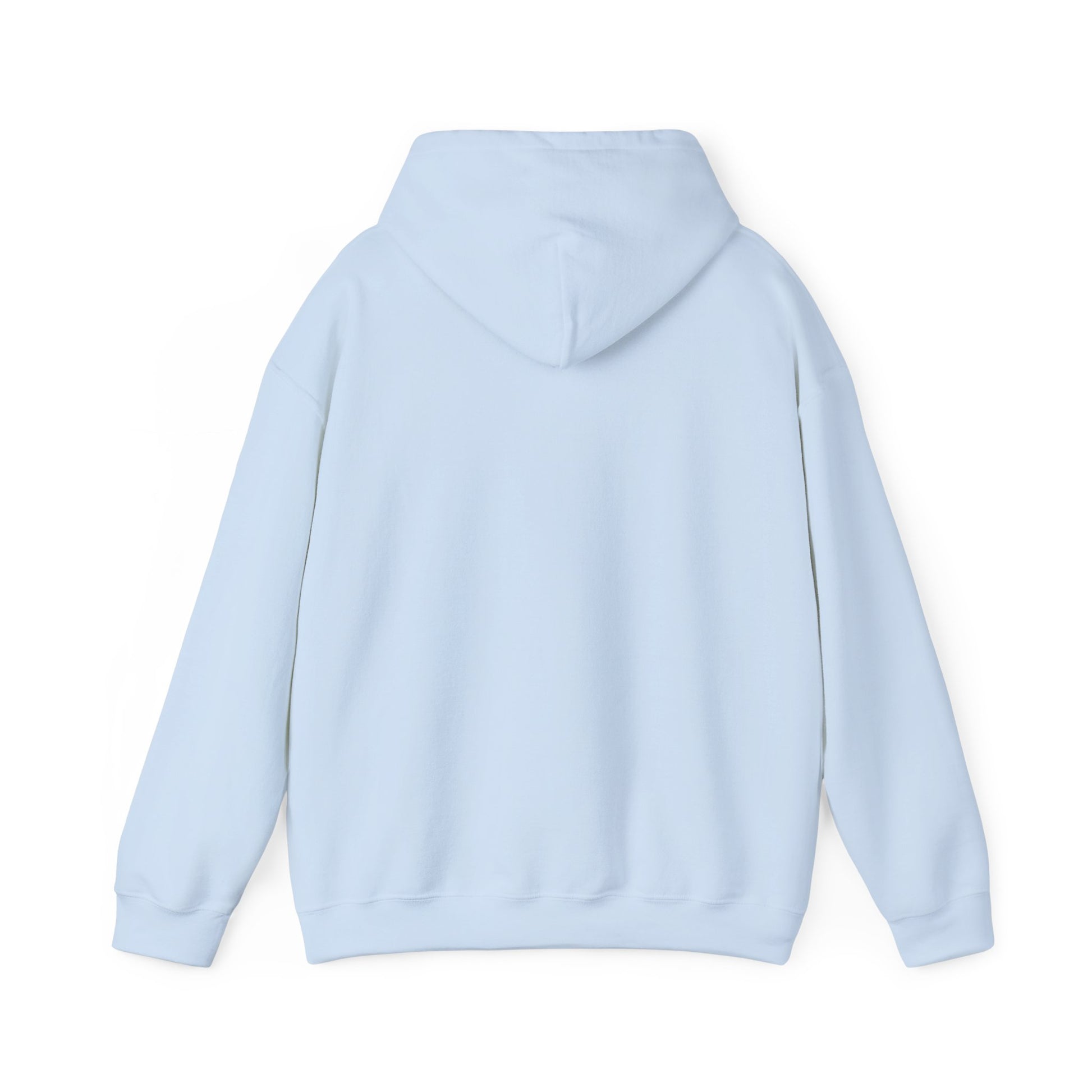 Father of the Year Hoodie - SatireMerch