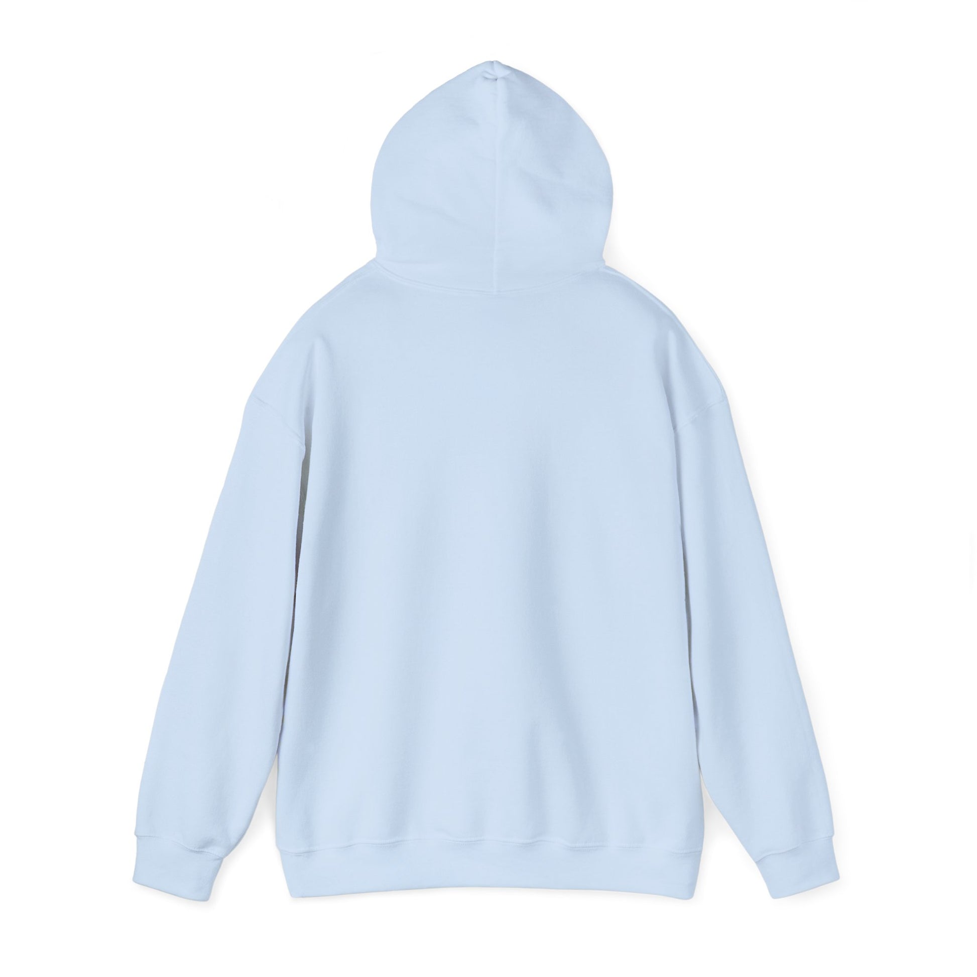 Father of the Year Hoodie - SatireMerch